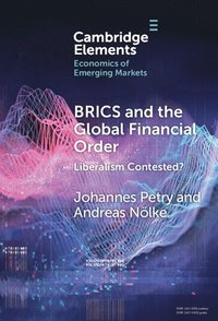 bokomslag BRICS and the Global Financial Order