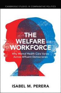 bokomslag Welfare Workforce