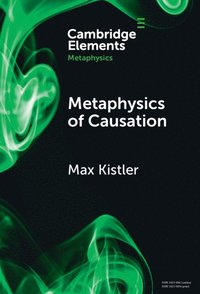 bokomslag Metaphysics of Causation