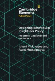 bokomslag Designing Behavioural Insights for Policy