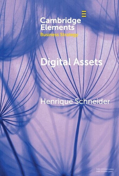 Henrique Schneider - Digital Assets, Inbunden