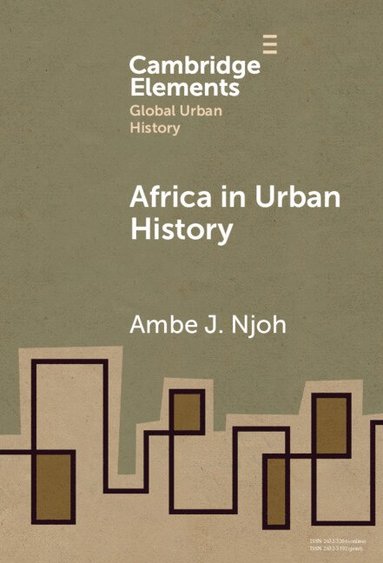 bokomslag Africa in Urban History