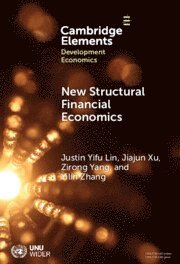 bokomslag New Structural Financial Economics