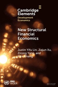 bokomslag New Structural Financial Economics