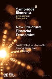 bokomslag New Structural Financial Economics