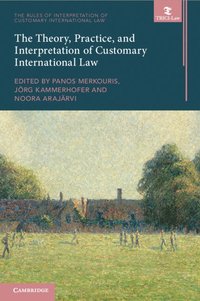 bokomslag The Theory, Practice, and Interpretation of Customary International Law