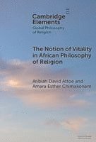 bokomslag The Notion of Vitality in African Philosophy of Religion