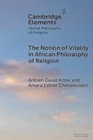 bokomslag The Notion of Vitality in African Philosophy of Religion