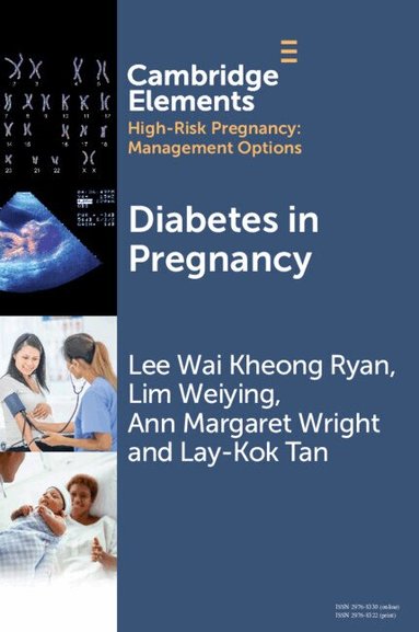 Lee Wai Kheong Ryan, Lim Weiying, Ann Margaret Wright, Lay-Kok Tan - Diabetes in Pregnancy, Häftad