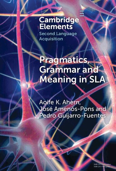 Aoife K. Ahern, José Amenós-Pons, Pedro Guijarro-Fuentes - Pragmatics, Grammar and Meaning in SLA, Inbunden
