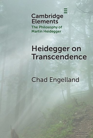 bokomslag Heidegger on Transcendence