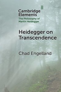 bokomslag Heidegger on Transcendence