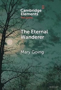 bokomslag Eternal Wanderer