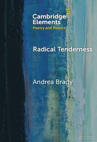 bokomslag Radical Tenderness