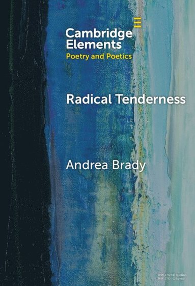 bokomslag Radical Tenderness