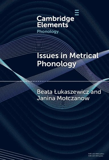 bokomslag Issues in Metrical Phonology