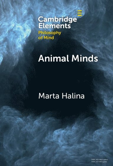 bokomslag Animal Minds