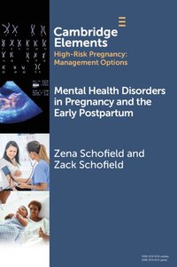 bokomslag Mental Health Disorders in Pregnancy and the Early Postpartum