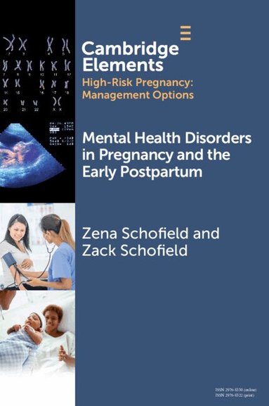 Zena Schofield, Zack Schofield - Mental Health Disorders in Pregnancy and the Early Postpartum, Häftad