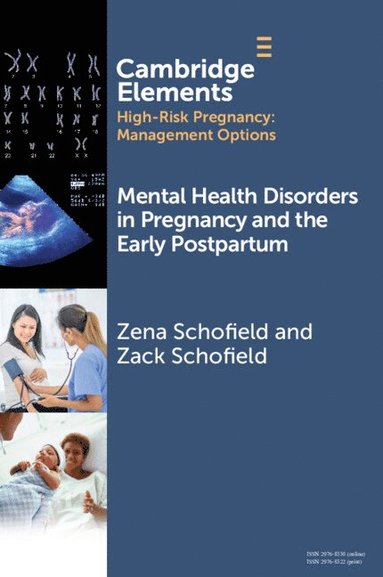 bokomslag Mental Health Disorders in Pregnancy and the Early Postpartum