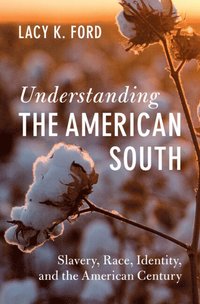 bokomslag Understanding the American South