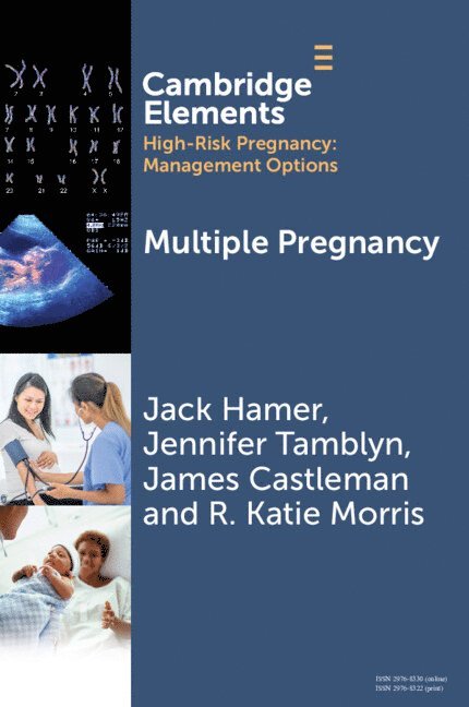 Jack Hamer, Jennifer Tamblyn, James Castleman, R. Katie Morris, Jack (Birmingham Women's and Children's NHS) Hamer, James (Birmingham Women's and Children's NHS Foundation Trust) Castleman, R. Katie (University of Birmingham) Morris - Multiple Pregnancy, Häftad