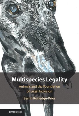 bokomslag Multispecies Legality