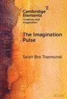 bokomslag The Imagination Pulse