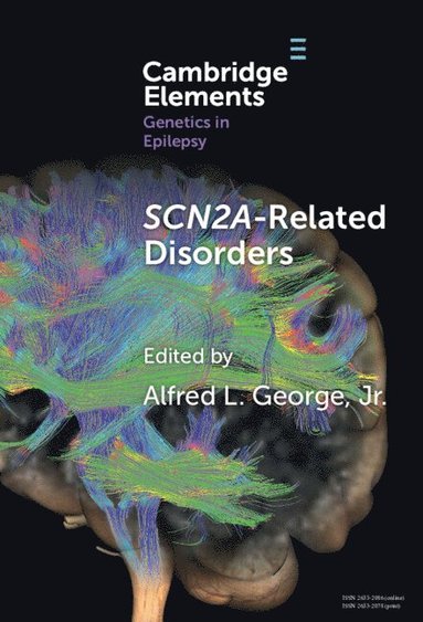 bokomslag SCN2A-Related Disorders