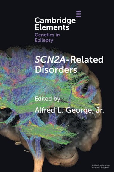 bokomslag SCN2A-Related Disorders