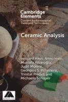 bokomslag Ceramic Analysis