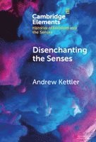bokomslag Disenchanting the Senses: Sulfuric Discourse and the World System