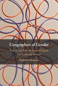 bokomslag Geographies of Gender