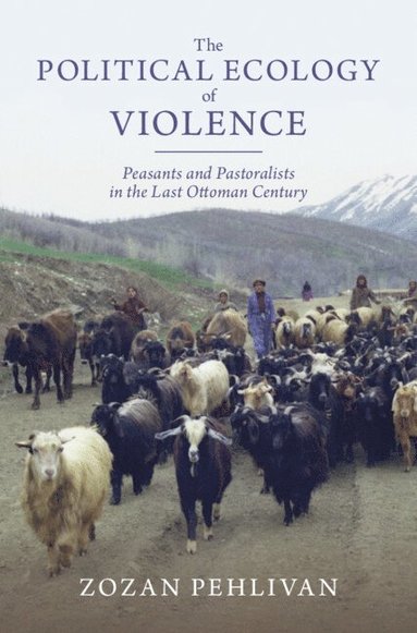 bokomslag Political Ecology of Violence