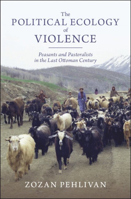 The Political Ecology of Violence 1