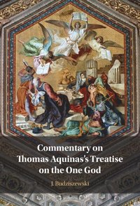 bokomslag Commentary on Thomas Aquinas's Treatise on the One God