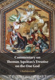 bokomslag Commentary on Thomas Aquinas's Treatise on the One God