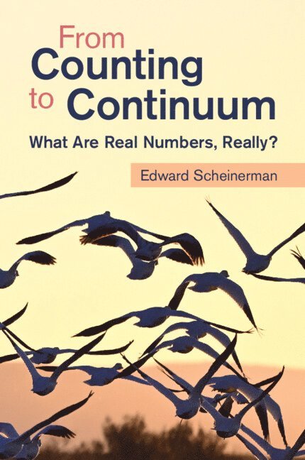 From Counting to Continuum 1