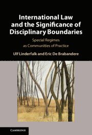 bokomslag International Law and the Significance of Disciplinary Boundaries