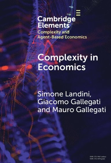 bokomslag Complexity in Economics