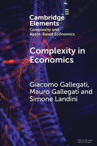 bokomslag Complexity in Economics