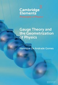 bokomslag Gauge Theory and the Geometrisation of Physics