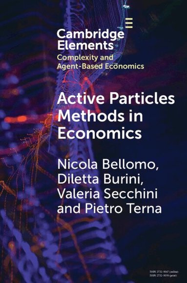 Nicola Bellomo, Diletta Burini, Valeria Secchini, Pietro Terna - Active Particles Methods in Economics, Häftad
