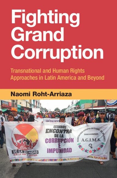 Naomi Roht-Arriaza - Fighting Grand Corruption, Inbunden