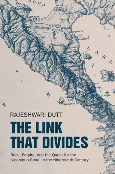 Rajeshwari Dutt - The Link That Divides, Häftad