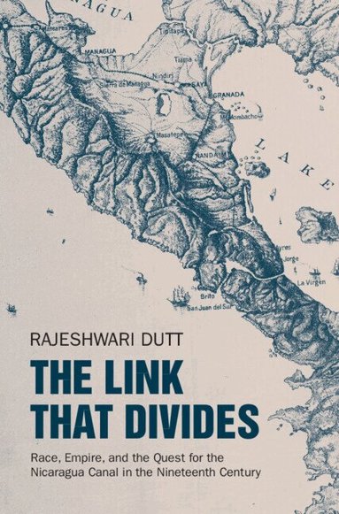Rajeshwari Dutt - The Link That Divides, Inbunden