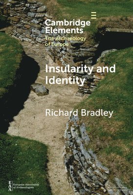 bokomslag Insularity and Identity
