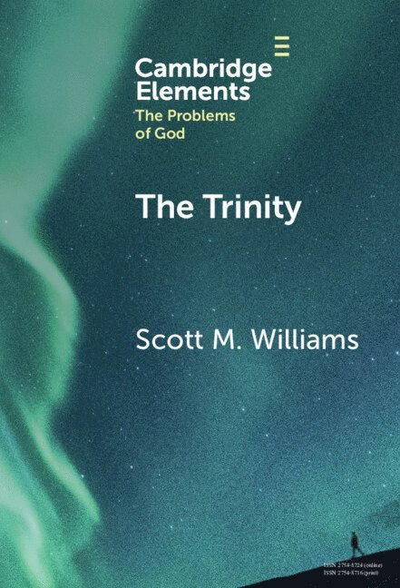 Scott M. Williams, Scott M. (University of North Carolina) Williams - Trinity, Inbunden