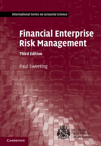 Paul Sweeting - Financial Enterprise Risk Management, Inbunden