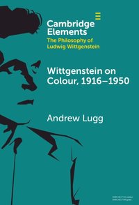 bokomslag Wittgenstein on Colour, 1916-1950